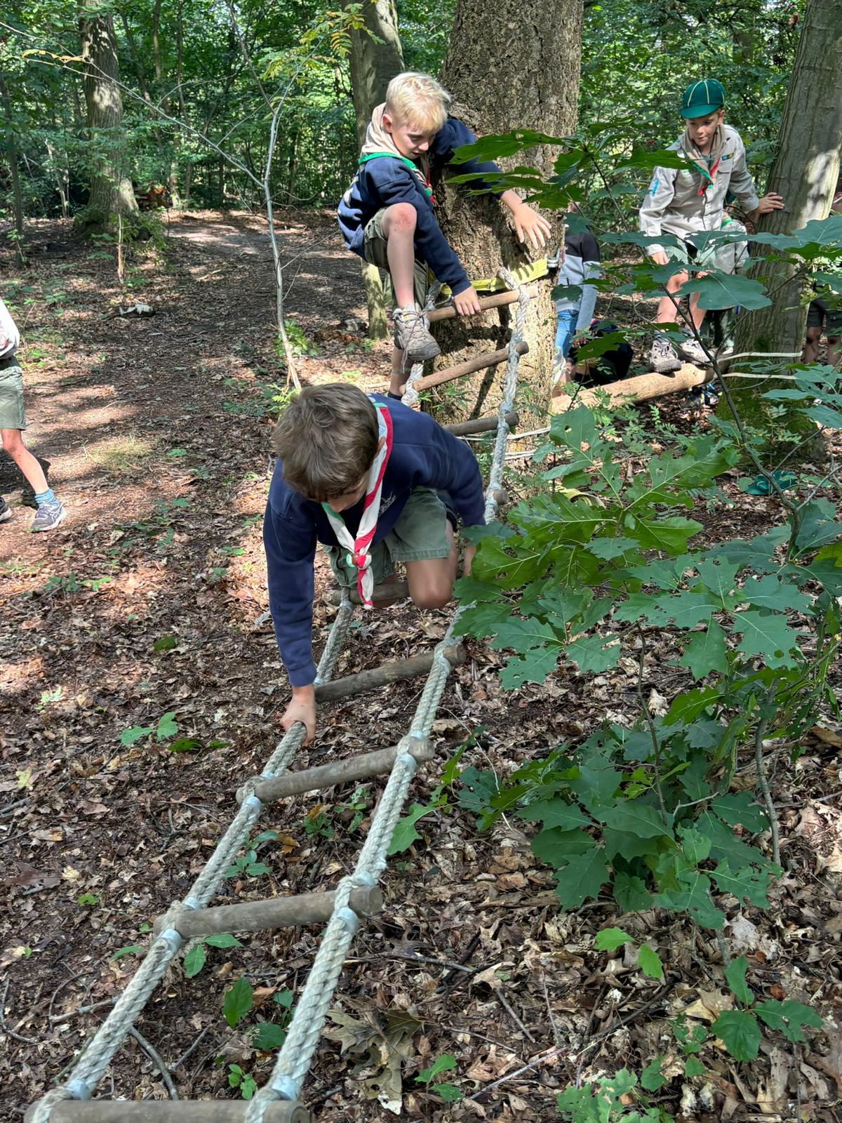 Sint-Martinus den XIIde - Opening 2024